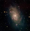 M33