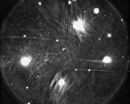 M45