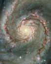 M51