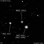 NGC 1011