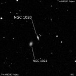 NGC 1020