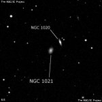 NGC 1021