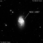 NGC 1087