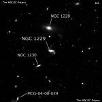 NGC 1229