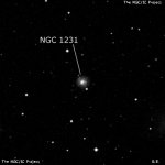 NGC 1231
