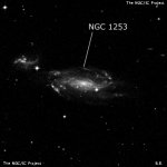 NGC 1253