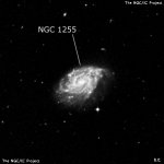 NGC 1255