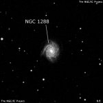 NGC 1288