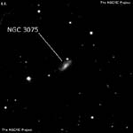 NGC 3075
