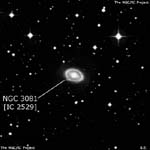 NGC 3081