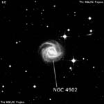 NGC 4902