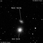 NGC 5636