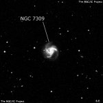 NGC 7309