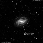 NGC 7329