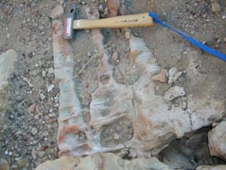 Mars Desert Research Station, 1. posádka