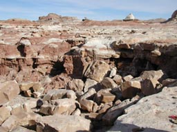 Mars Desert Research Station, 1. posádka