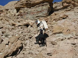 Mars Desert Research Station, 1. posádka