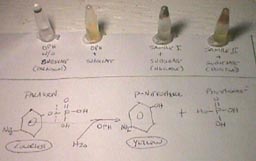 Mars Desert Research Station, 1. posádka